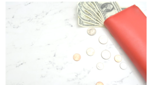 【ミニマリスト節約】コスパ好き主婦の節約術5選【マニアック】