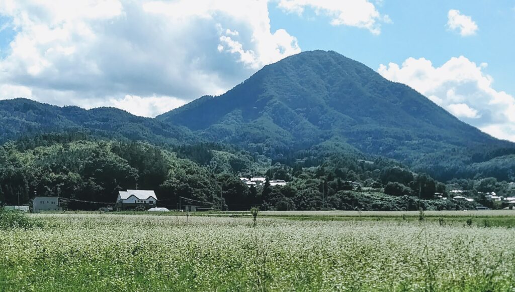 【楽天アンリミット】1年無料が経過|使ってみた感想